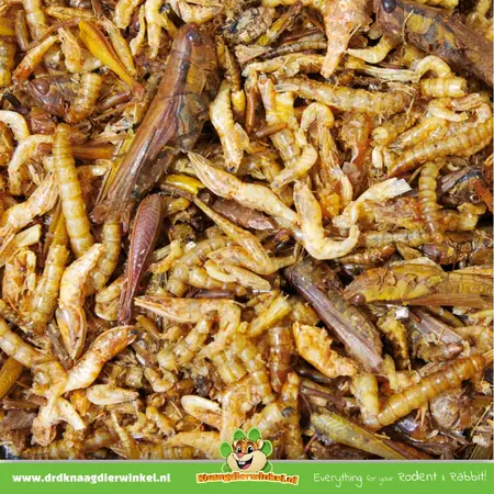 JR Farm Cóctel de proteínas 10 gramos