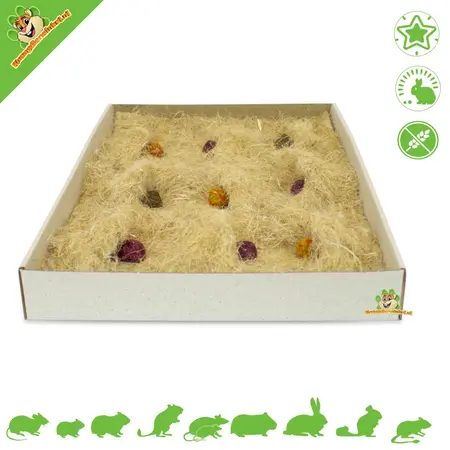 JR Farm Tapis de recherche de nourriture actif Back to Instinct 30 cm