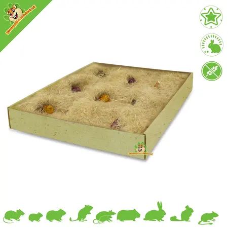 JR Farm Tapis de recherche de nourriture actif Back to Instinct 30 cm
