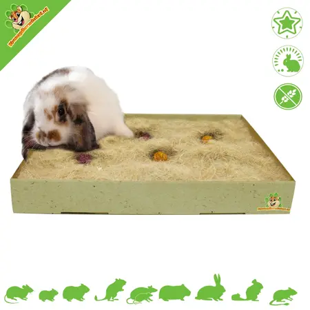 JR Farm Alfombra Forrajeo Activo Back to Instinct 30 cm
