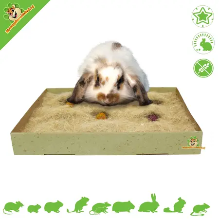 JR Farm Retour à Tapis Instinct Active Foraging 30 cm