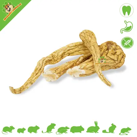 JR Farm Parsnip Roots Natural Chewing Material