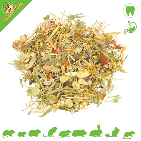 JR Farm Cubo de hierbas de campo de 5 litros