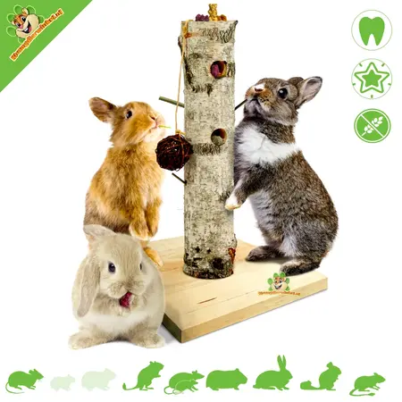 JR Farm Back To Instinct Active Futterbaum 58 cm