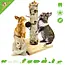 JR Farm Back to Instinct Nature Active-Tree voor Knaagdieren & Konijnen