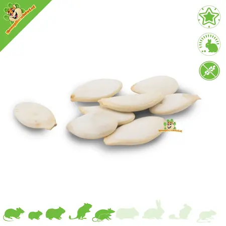 JR Farm Back to Instinct Snack Labyrinth