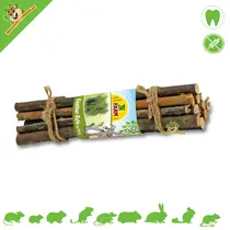 Nibble Gnawing Wood Willow