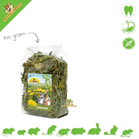 JR Farm Dandelion for Rodents and Rabbits!