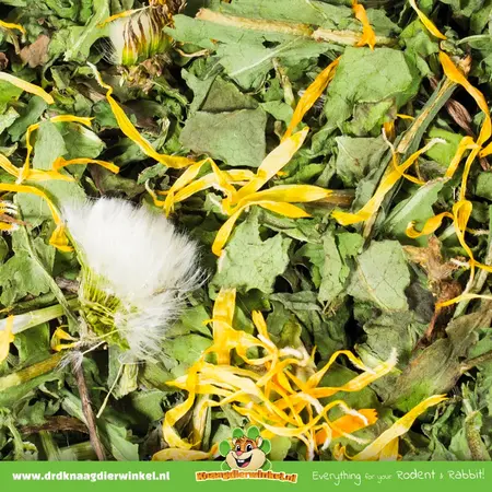 JR Farm Dandelion with Marigold for Rodents & Rabbits