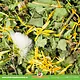 JR Farm Löwenzahn mit Ringelblume für Nagetiere und Kaninchen
