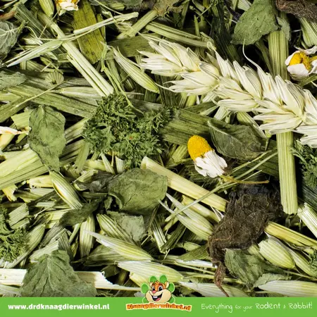 JR Farm Jardin d'herbes aromatiques pour rongeurs et lapins