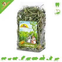 Maíz verde
