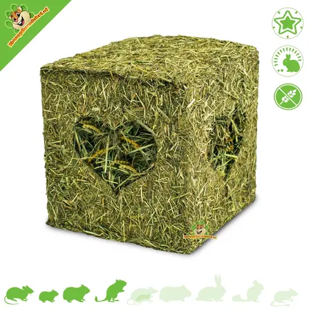 JR Farm Cube de recherche de nourriture avec foin et vers de farine 12 cm