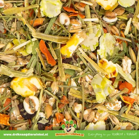 JR Farm Comida especial Degoe Degoe 1,5 kg