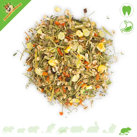 JR Farm Degoe Spezial Komplettes Degoe Futter