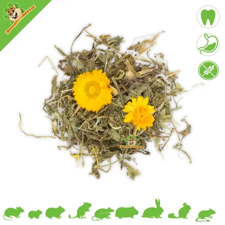 JR Farm Plus Evening Primrose & Dandelion Coat