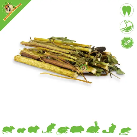 JR Farm Jerusalem artichoke sticks