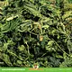 JR Farm Nettle for Rodents & Rabbits