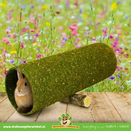 JR Farm Huśtawka do tunelu kwiatowego XXL Wap 60 cm