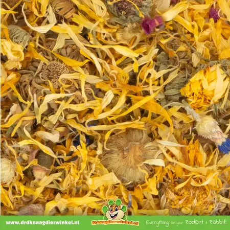 JR Farm Jardin de fleurs de chinchilla 50 grammes