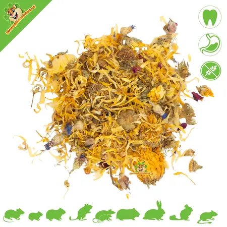 JR Farm Jardín de Flores Chinchilla 50 gramos