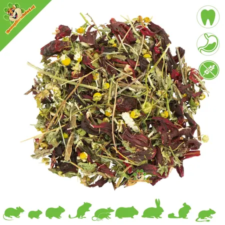 JR Farm Chinchilla Dream 75 gramów