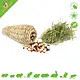 JR Farm Stuffed Nibble Root for Rodents and Rabbits