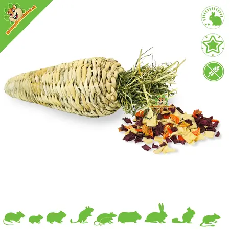 JR Farm Stuffed Nibble Root for Rodents and Rabbits