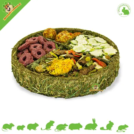 JR Farm Rodent gourmet plate 13 cm