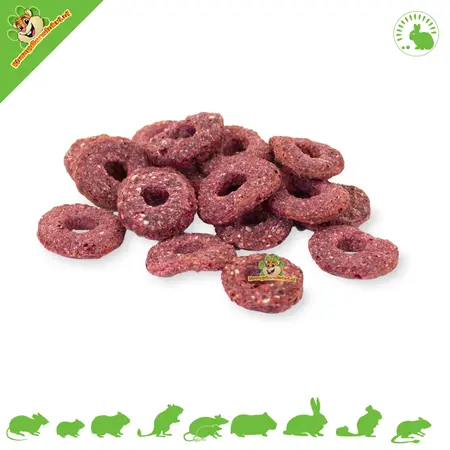 JR Farm Talerz gourmet dla gryzoni 13 cm