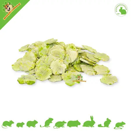 JR Farm Talerz gourmet dla gryzoni 13 cm