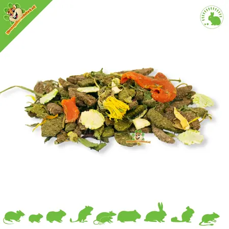 JR Farm Plato gourmet con forma de roedor de 13 cm