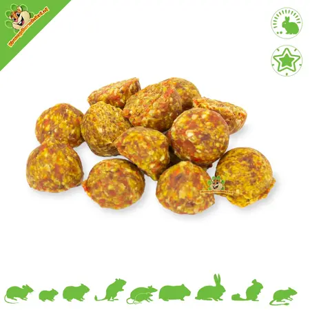 JR Farm Talerz gourmet dla gryzoni 13 cm