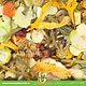 JR Farm Snack Degoe aux flocons de légumes et aux fleurs