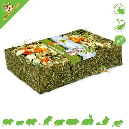 JR Farm Getreidefreier Heunapf für Nagetiere und Kaninchen!