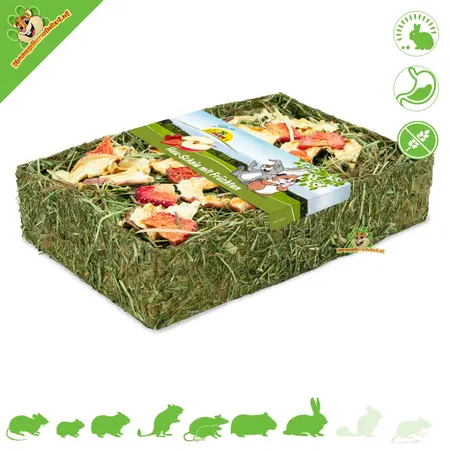 JR Farm Miska na siano bez zbóż dla gryzoni i królików!