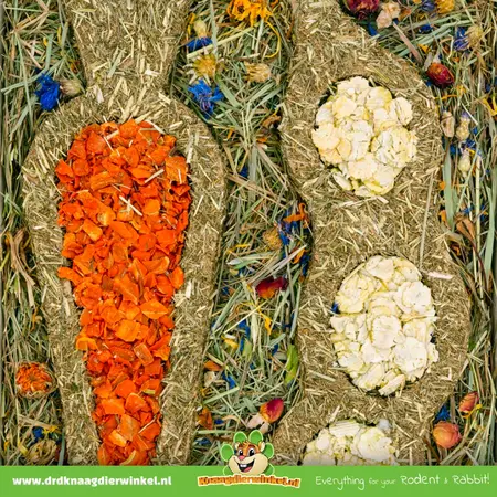 JR Farm Gemüsekiste für Nagetiere & Kaninchen!