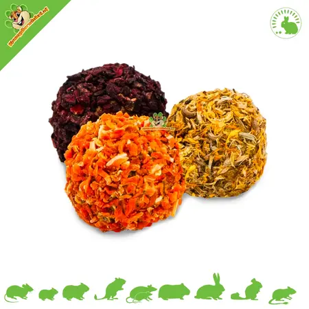 JR Farm Herbal Nibble Trio Balls