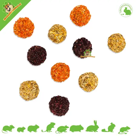 JR Farm Herbal Nibble Trio Balls