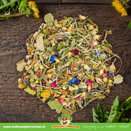 JR Farm Oasis herbal para roedores y conejos