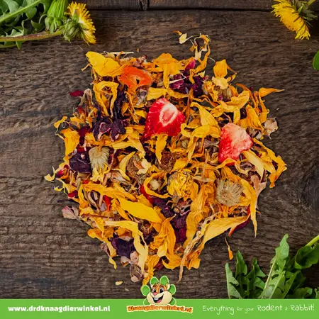 JR Farm Paradis des fleurs