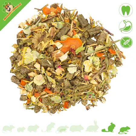 JR Farm Grainless Mix Chinchillavoer & Degoevoer