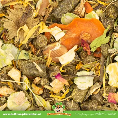 JR Farm Grainless Mix Chinchillavoer & Degoevoer