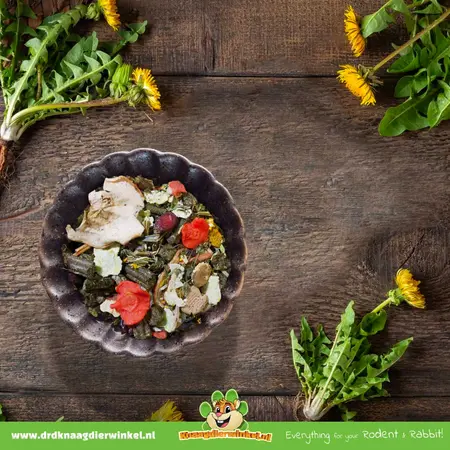 JR Farm Grainless Mix Chinchilla Food & Degu Food