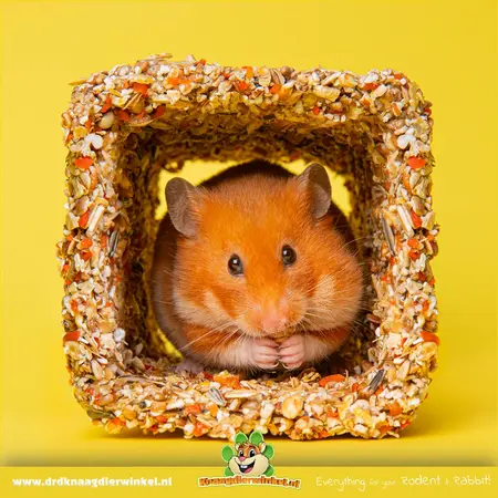 Mealberry Kleiner leckerer Labyrinthtunnel für Nagetiere und Kaninchen