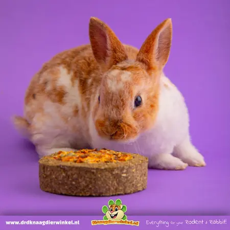 Mealberry Getreidefreie Gemüsepizza von Little One für Nagetiere und Kaninchen!