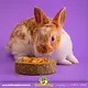 Mealberry Little One Grain-Free Vegetable Pizza 55 grams