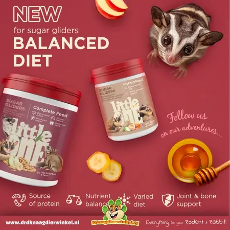 Mealberry Alimento instantáneo Little One para petauros del azúcar – 100 gramos