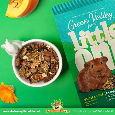Mealberry Little One Green Valley – grain-free guinea pig food with herbs