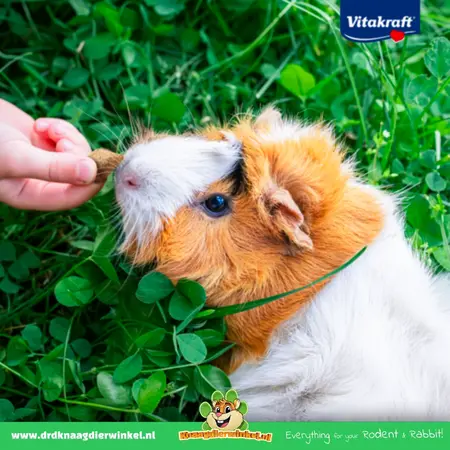Vitakraft Lofty's für Nagetiere und Kaninchen